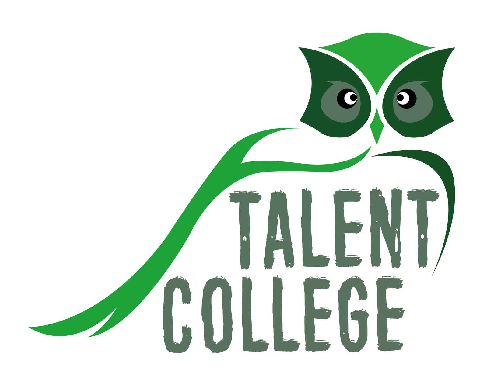 Talent College - Promotie Noord - Powercursus - Assen