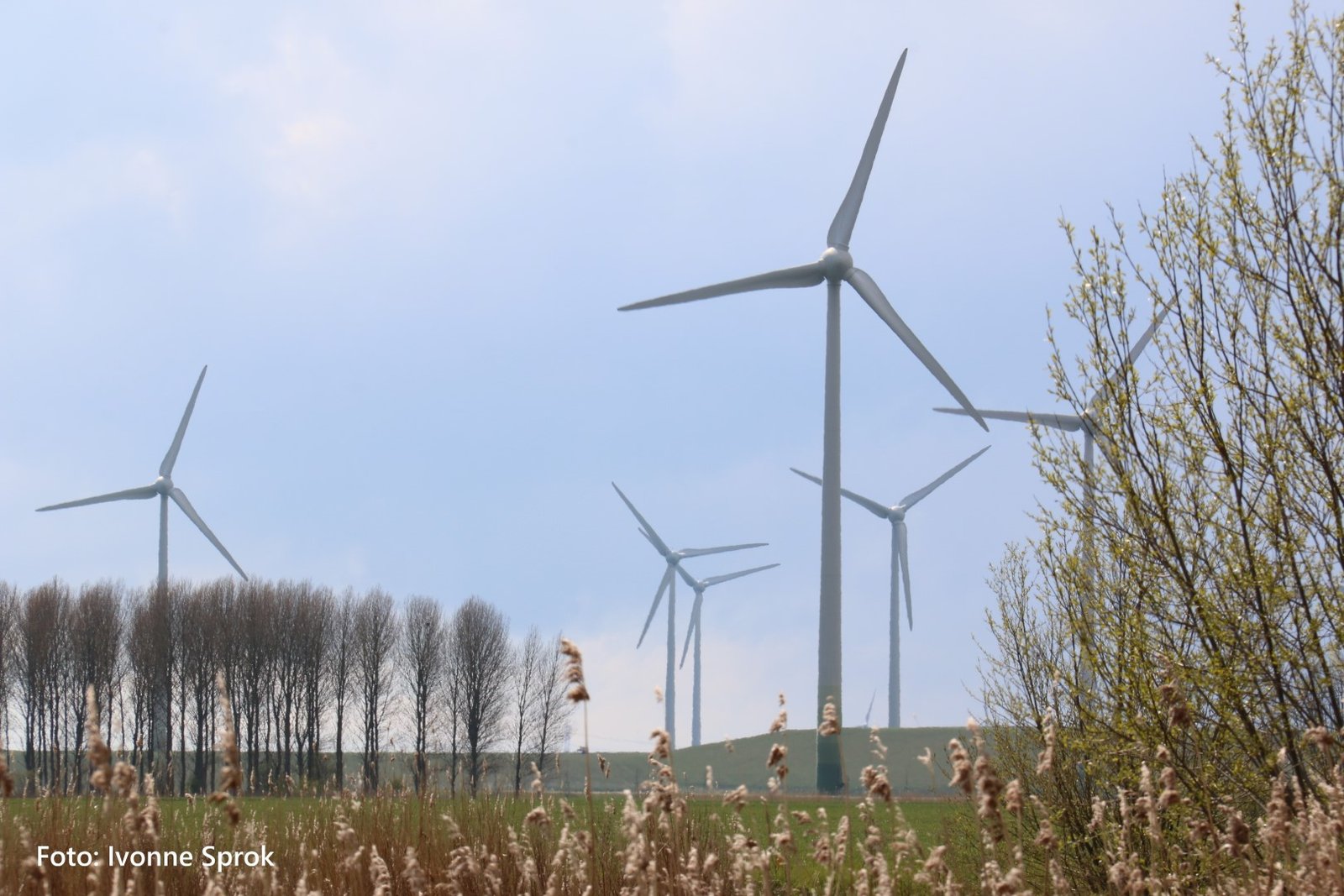 Windmolen - Ivonne Sprok - Promotie Noord - SPROX Media