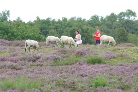 Promotie Noord