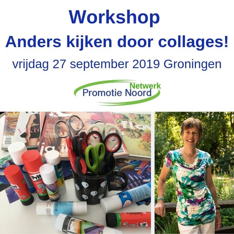 Netwerk Promotie Noord