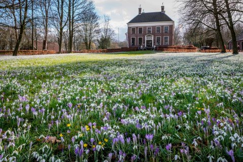 Ennemaborg Midwolde - Geert Job Sevink - Promotie Noord