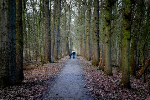 Snertwandeling Landgoed Ennemaborgh Promotie Noord