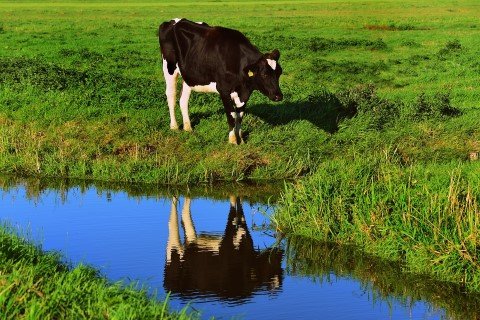 Promotie Noord
