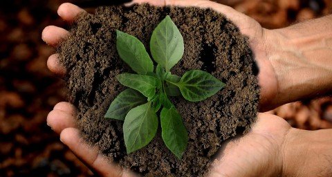 Verschillende gratis activiteiten op gebied van natuur en biodiversiteit in Heechterp - Promotie Noord