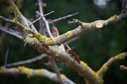 Start opschonen terrein Rusthoven in Wirdum - Promotie Noord