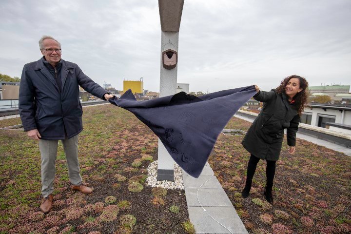 Groen dak op het gebouw van de gemeente Groningen - Promotie Noord