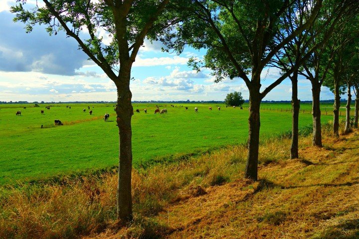 Daling aantal inwoners Oost-Groningen lijkt minder sterk - Promotie Noord