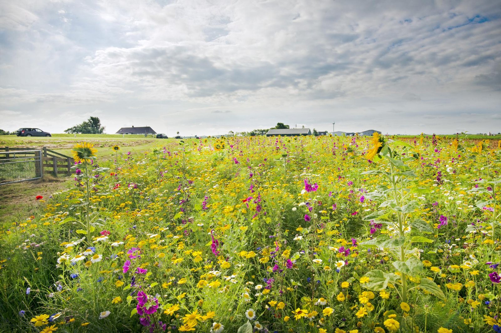 Natuurinclusieve landbouw Kleischil - Promotie Noord
